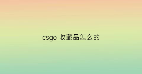 csgo 收藏品怎么的